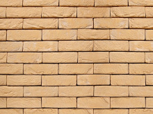 Geel Zilverzand 7