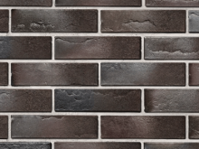 Кирпич BRAER PRO 10.11 1НФ